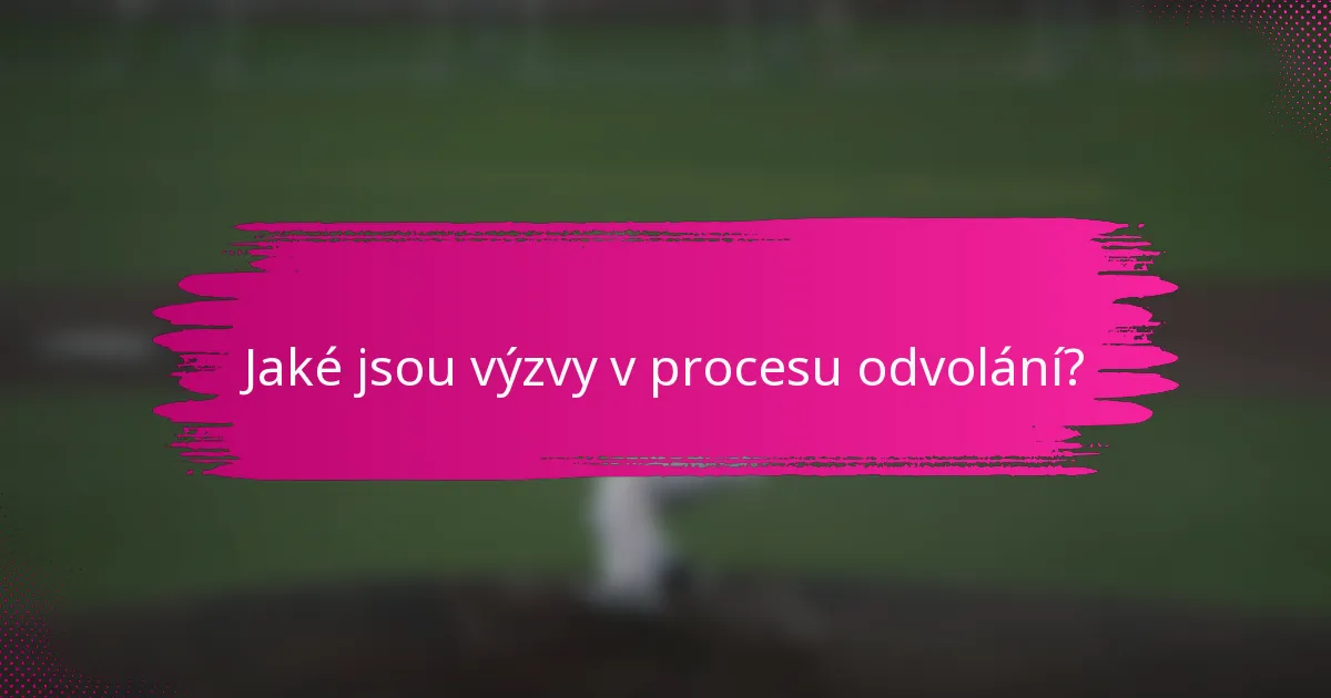 Jaké jsou výzvy v procesu odvolání?