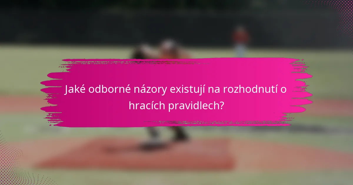 Jaké odborné názory existují na rozhodnutí o hracích pravidlech?